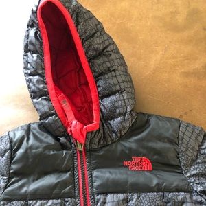 Toddler North Face Thermoball Coat